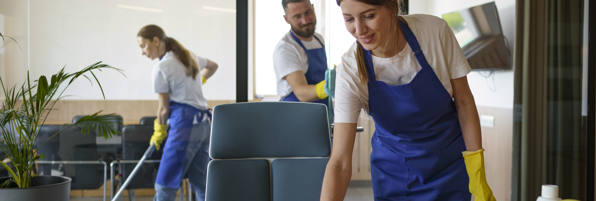 Expert Cleaning Service